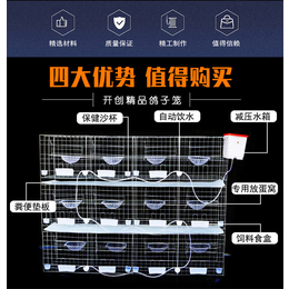 厂家*三层加粗鸽笼大量现货