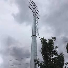 电力架空线雅安厂家15米钢管杆
