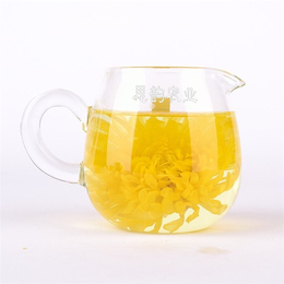 修水祺冠金丝皇菊(在线咨询)|无锡绿茶|喝绿茶的好处