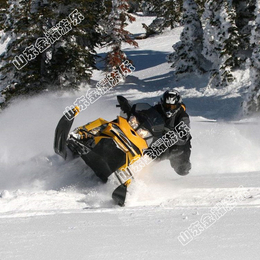 雪上摩托 戏雪设备雪地摩托汽油卡丁车 报价