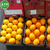南非原装进口水果 CORE脐橙新鲜饮品橙子榨汁自动榨汁机*缩略图1