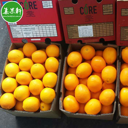 南非原装进口水果 CORE脐橙新鲜饮品橙子榨汁自动榨汁机*缩略图