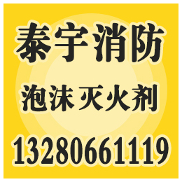 江门泡沫罐、广东泡沫罐厂家*、泰宇消防(****商家)