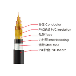 广州南洋电缆 屏蔽控制电缆  KVVP