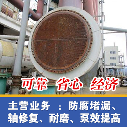索雷工业(图)-江苏硫铵饱和器腐蚀-四川硫铵饱和器腐蚀