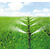 云南大田灌溉设备|云南大田灌溉设备价格|润成节水灌溉缩略图1