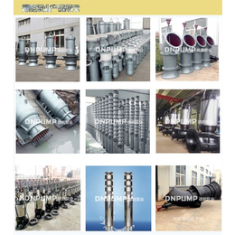 德能泵业公司(多图)|天津潜水泵