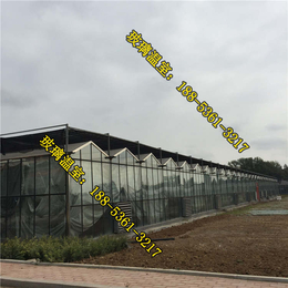 保定玻璃温室种植产量*州承建玻璃温室的公司_玻璃温室
