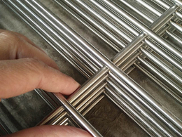 养殖电焊网生产-润标丝网-养殖电焊网