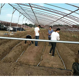 葫芦岛农用灌溉管