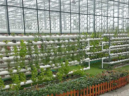 智能温室建造-智能温室-青州瀚洋农业(查看)