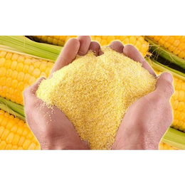 玉米粉厂家|吉林玉米粉|乔氏玉米面粉(查看)