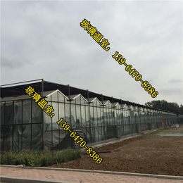 乌海玻璃温室造价,玻璃温室,包头玻璃温室建设(在线咨询)