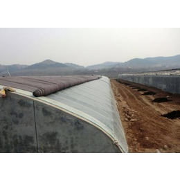 青州鑫华生态农业科技(图),温室制造,高新温室