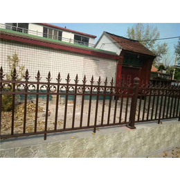 河滨铁艺栏杆|山东塑钢护栏(在线咨询)|达州栏杆