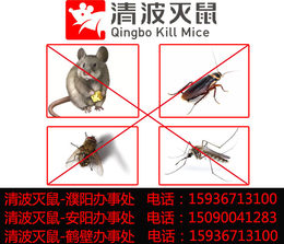 清波灭鼠(图)-有没有灭蟑螂的公司-安阳灭蟑螂