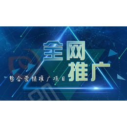 中山seo优化,品尚网络,seo优化价格