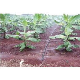 长沙施肥设备、格莱欧节水灌溉、滴灌施肥设备