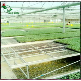 温室大棚*苗床水肥一体化是未来农业的发展方向