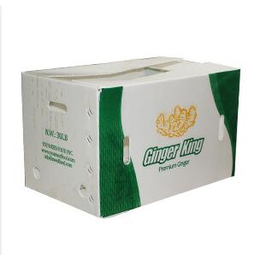 东方包装箱、蔬菜包装箱生产、弘特包装(推荐商家)