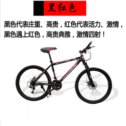 甘肃山地自行车