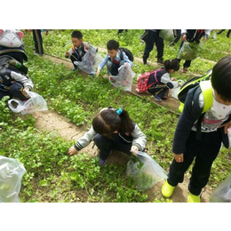 天津市武清区萱庭果蔬(图)_果蔬采摘农场_红桥果蔬采摘