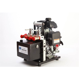 雷沃科技(图),消防*双输出液压机动泵,双输出液压机动泵