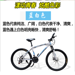 abike可折叠自行车批发_建林自行车厂_广东自行车批发