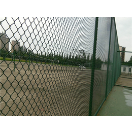 公园球场护栏网生产,公园球场护栏网,河北华久(图)