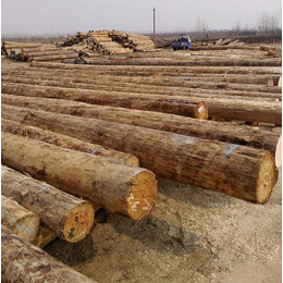 恒豪木业(在线咨询)-建筑木材-建筑木材生产厂家