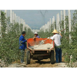 水果礼盒定制员工福利|咸阳礼盒定制|员工福利康霖苹果礼盒