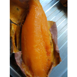 红蜜薯-禾田薯业物美价廉-红蜜薯零售