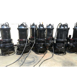 宏伟泵业(图)-潜水渣浆泵型号-临淄区潜水渣浆泵
