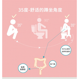 坐便器脚踩凳、迅驰高科、儿童坐便器脚踩凳