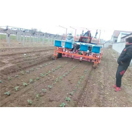 辣椒栽植机哪家好_温宿辣椒栽植机_军岩移栽机