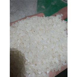 河南天然米批发厂家|鹤壁天然米批发|【宴宾米业】