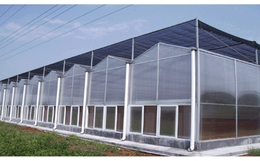 阳光板温室降温系统、阳光板温室、齐鑫温室园艺