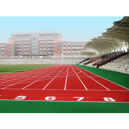 上海复合型塑胶跑道施工上海橡胶安全地垫工程