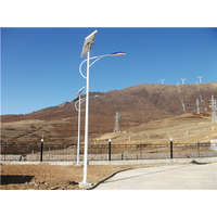  岳阳君山区农村5米6米太阳能路灯普遍化