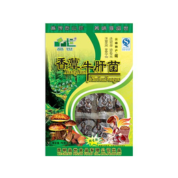 食用菌食品生产厂家,品世食品(在线咨询),贵州食用菌食品