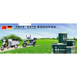 锂电池供应商-奥冠新能源(在线咨询)-温州锂电池