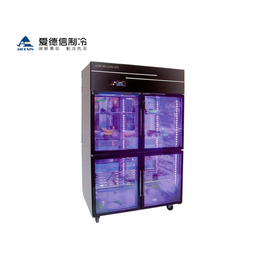 重庆冷冻展示柜-爱德信厨具设备-冷冻展示柜采购