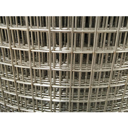 镀锌电焊网生产、镀锌电焊网、润标丝网