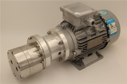 齿轮泵-微型精密齿轮泵-斯拓机电(推荐商家)