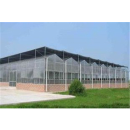 玻璃连栋温室造价|通达农业|陕西玻璃连栋温室