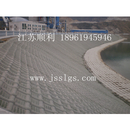 台州模袋|江苏顺利水下工程有限公司|模袋布