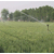普洱大田灌溉设备_润成节水灌溉_普洱大田灌溉设备安装缩略图1