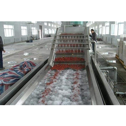 生产厂家-魏县食品链板输送机-烘干食品链板输送机