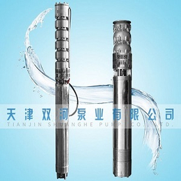 天津不锈钢潜水泵  耐海水潜水泵