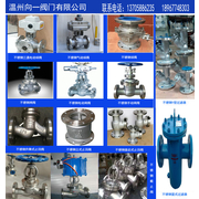不锈钢旋启式止回阀厂家温州向一阀门有限公司